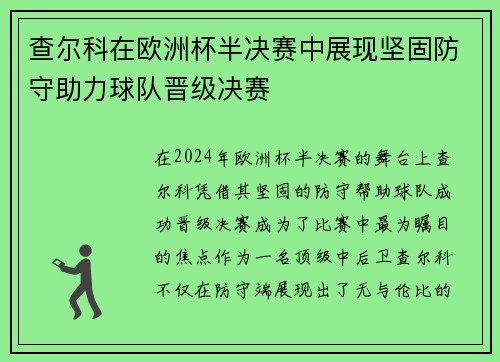 查尔科在欧洲杯半决赛中展现坚固防守助力球队晋级决赛