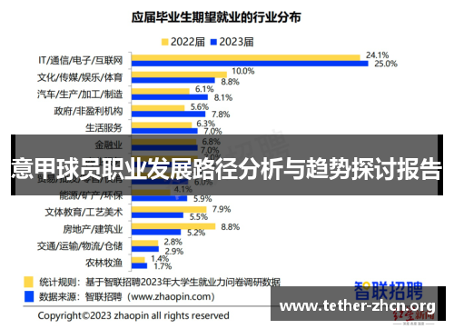 意甲球员职业发展路径分析与趋势探讨报告